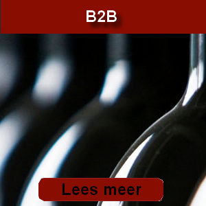 button b2b button b2b